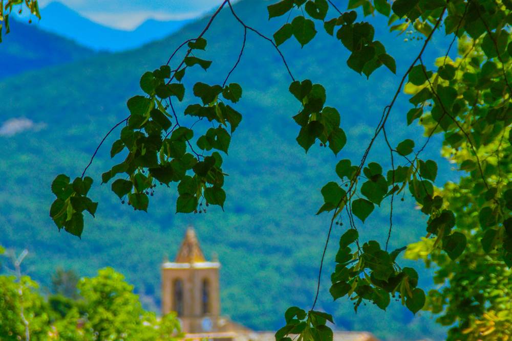 Les tilleuls de la Bastide du Claus face a` l'e´glise du village